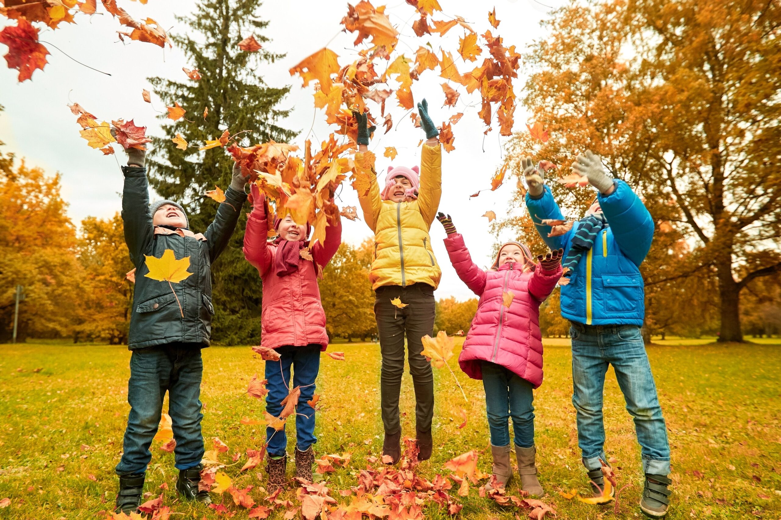 Fall foliage covering European family playing in autumn landscape