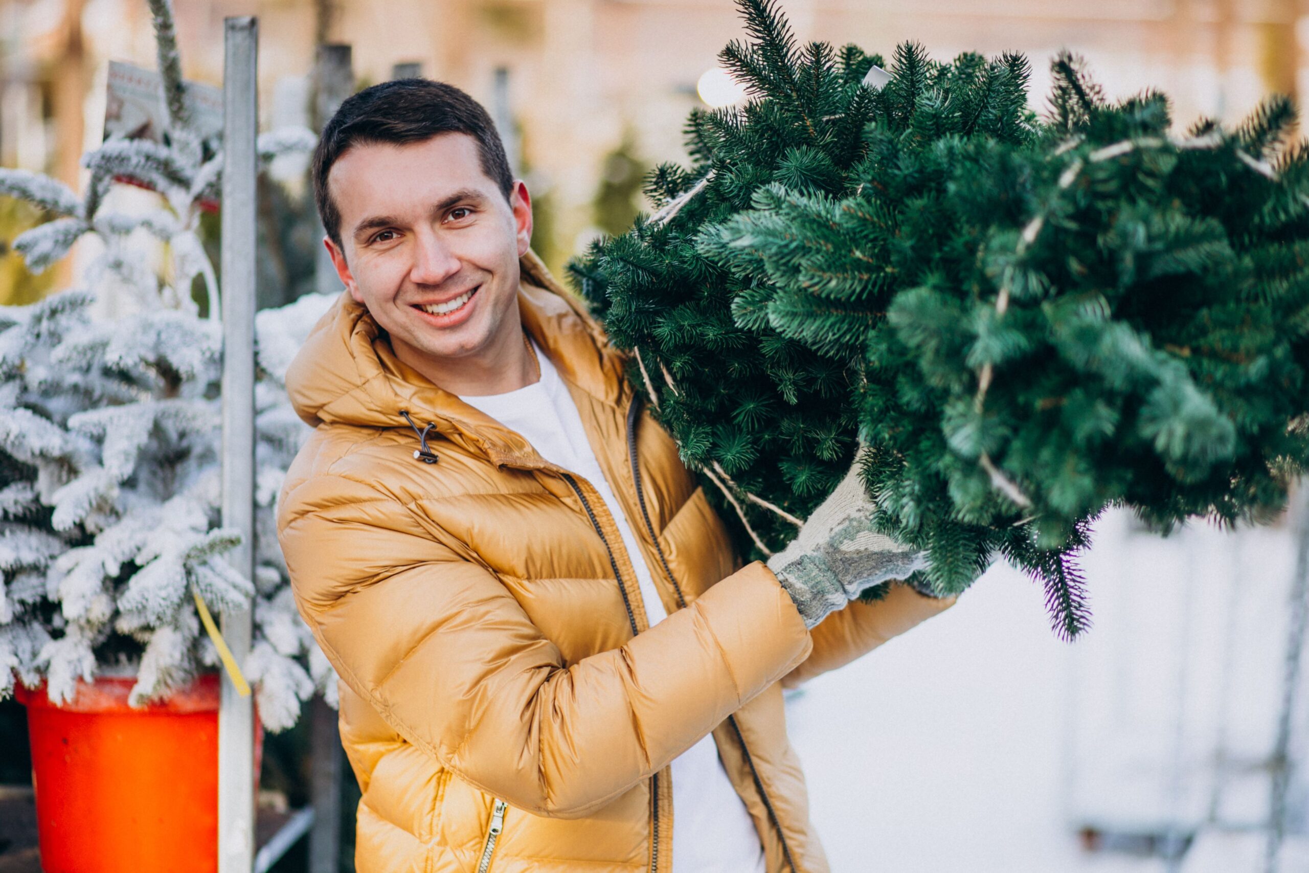 Christmas Market vendor with christmas tree