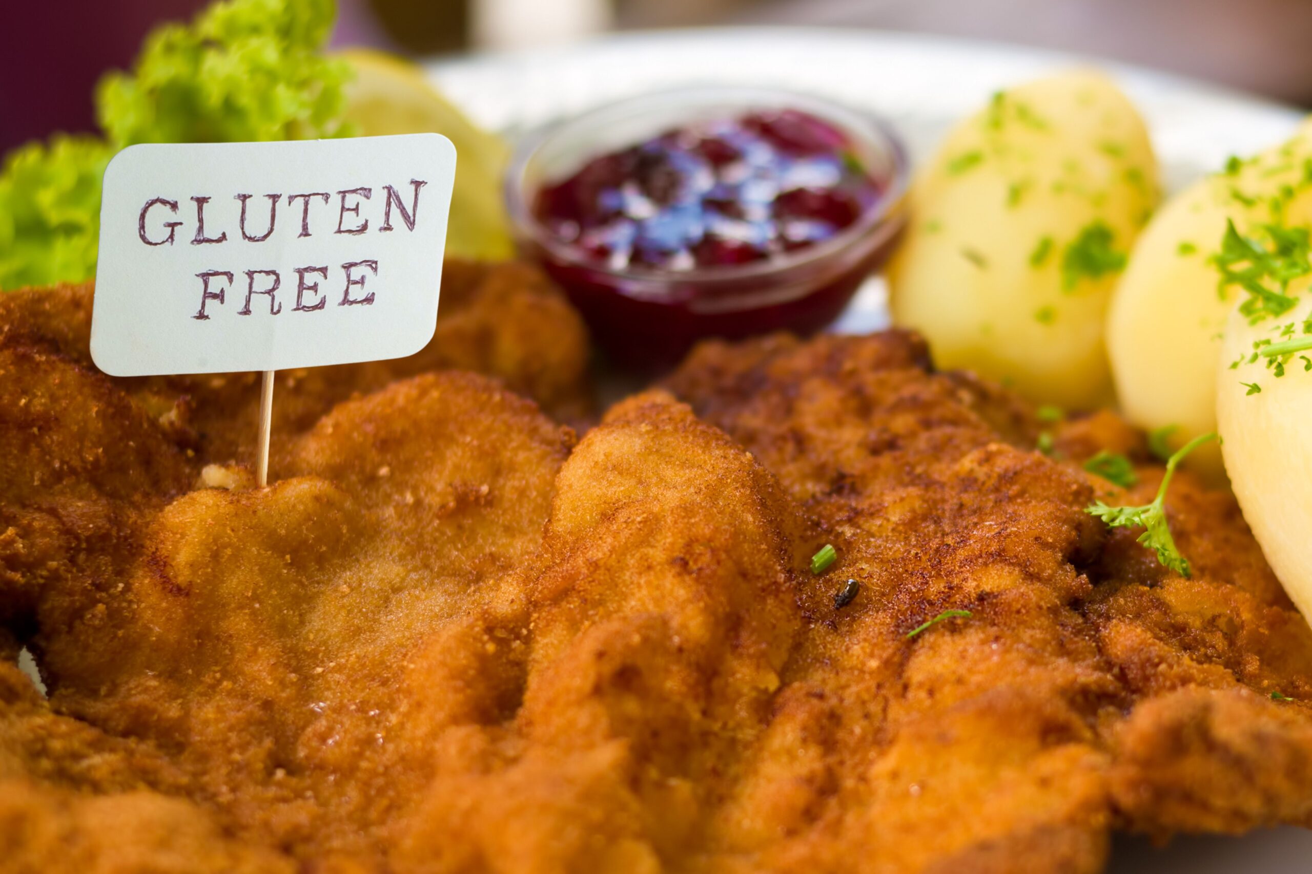 Gluten-free Vienna restaurant serving traditional Austrian schnitzel with celiac-safe preparation methods 1