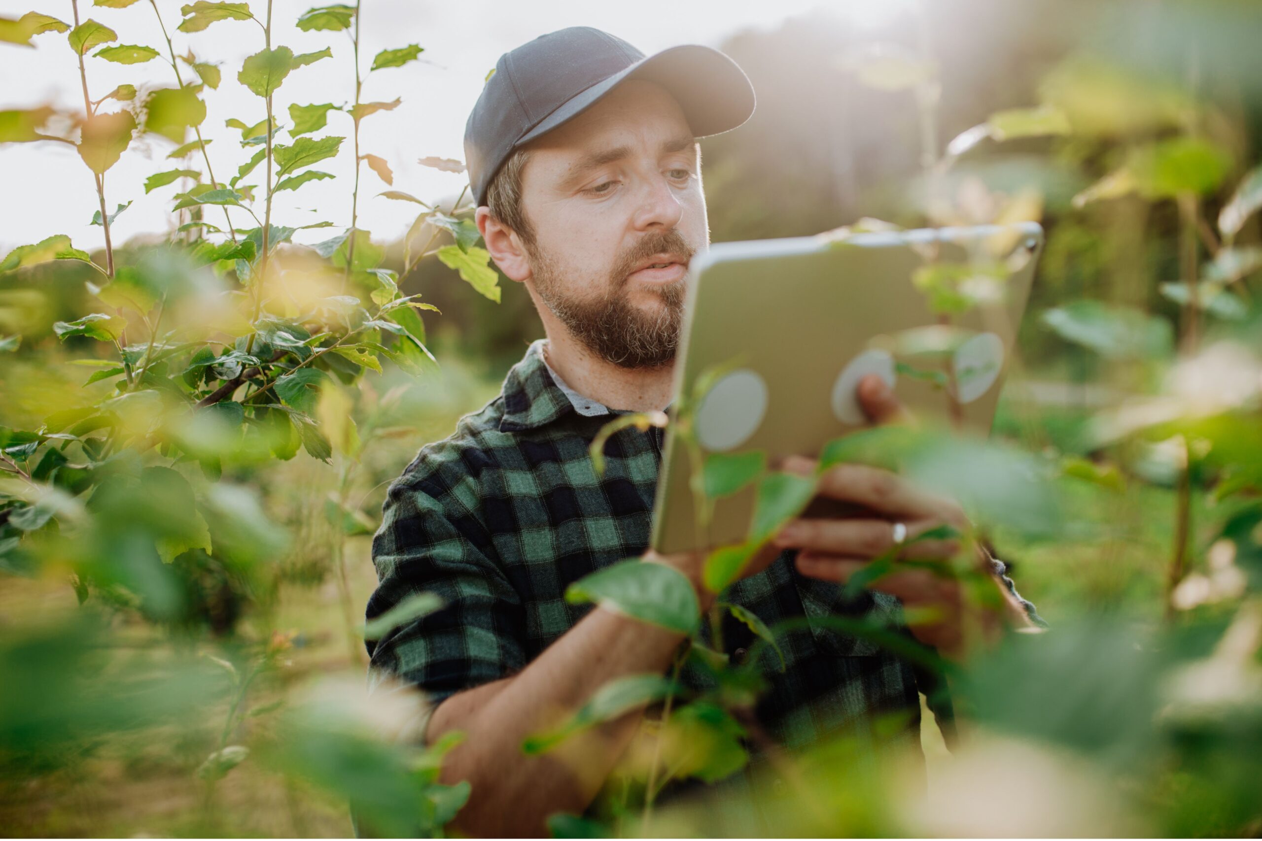 Sustainable agriculture in action as European farmers