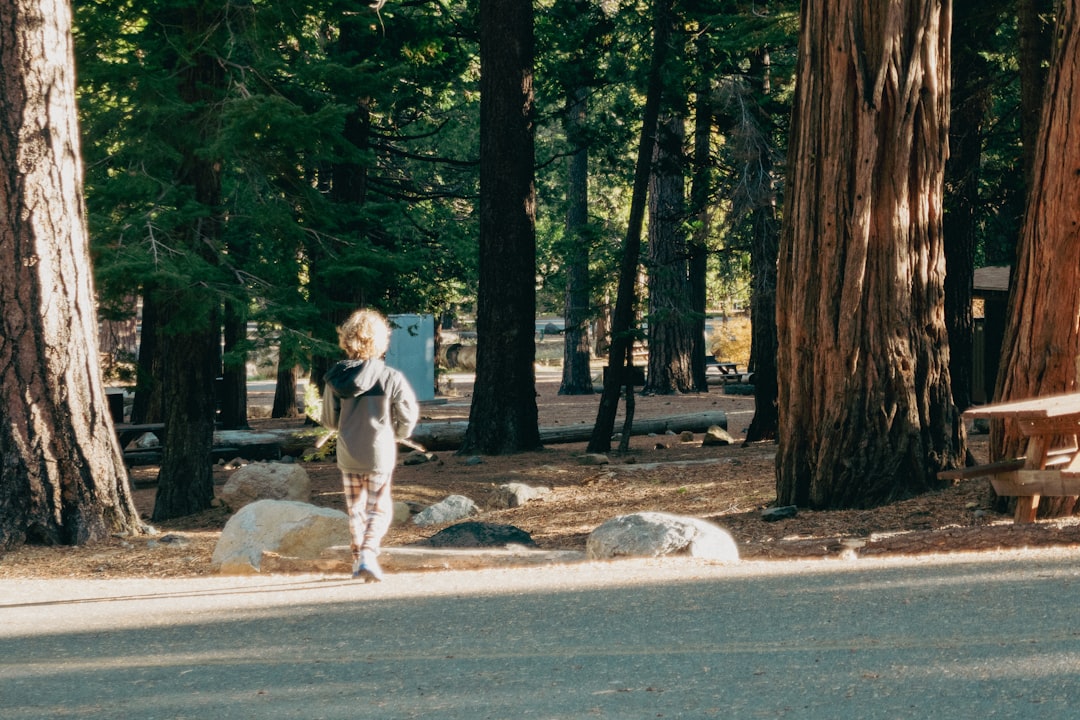 A child explores a forest trail at an EU nature camp, surrounded by tall trees and soft morning light.