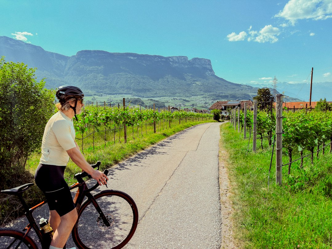 A woman rides one of France's most celebrated cycling routes through golden Loire Valley vineyards during harvest season.