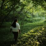 A woman walks slowly along a sunlit forest path during a guided forest bathing session in Europe.