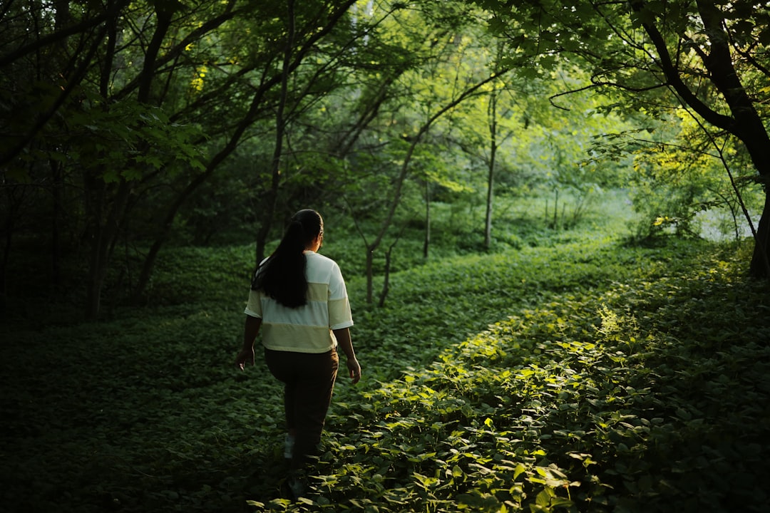 A woman walks slowly along a sunlit forest path during a guided forest bathing session in Europe.
